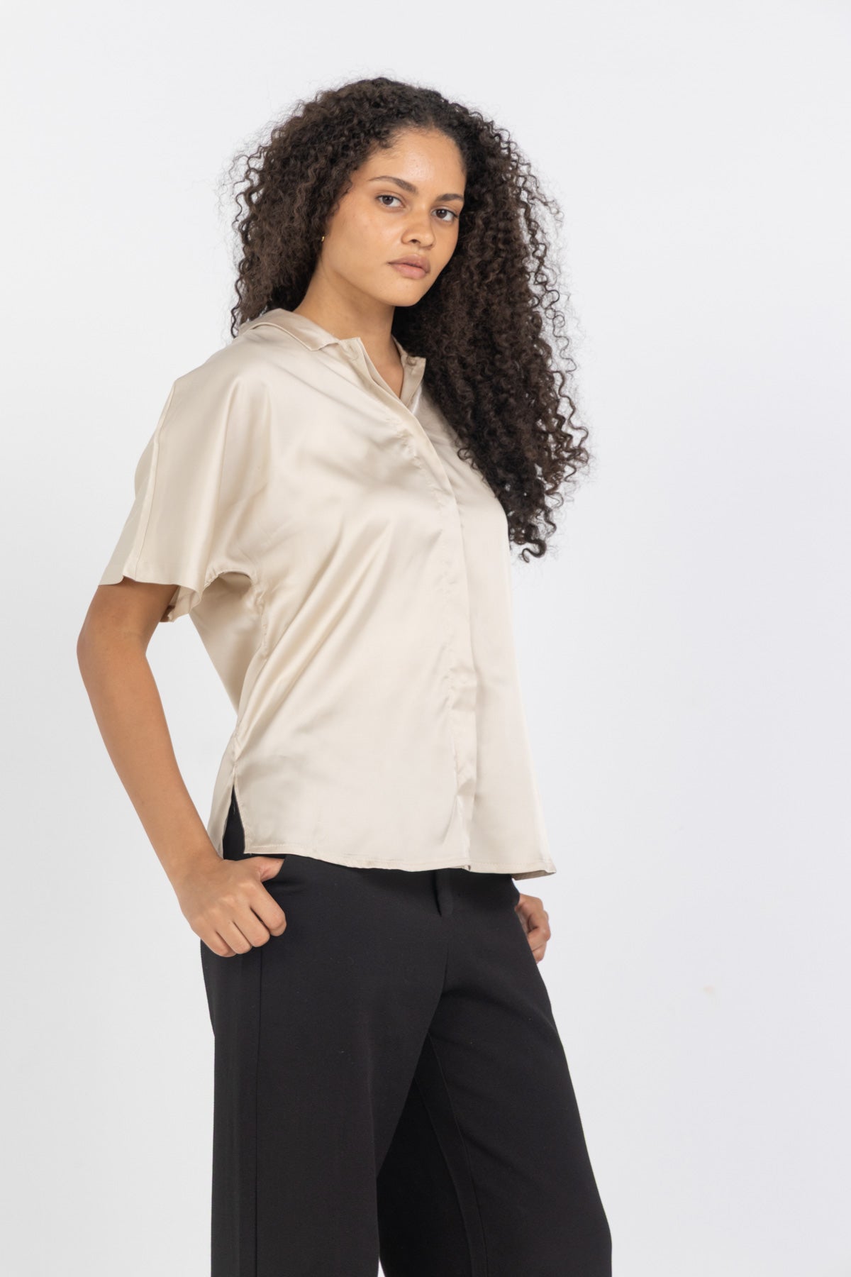 Beige Shine On Satin Blouse